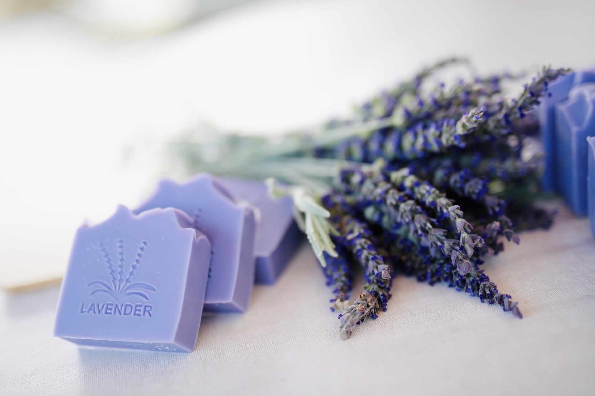 Lavendel