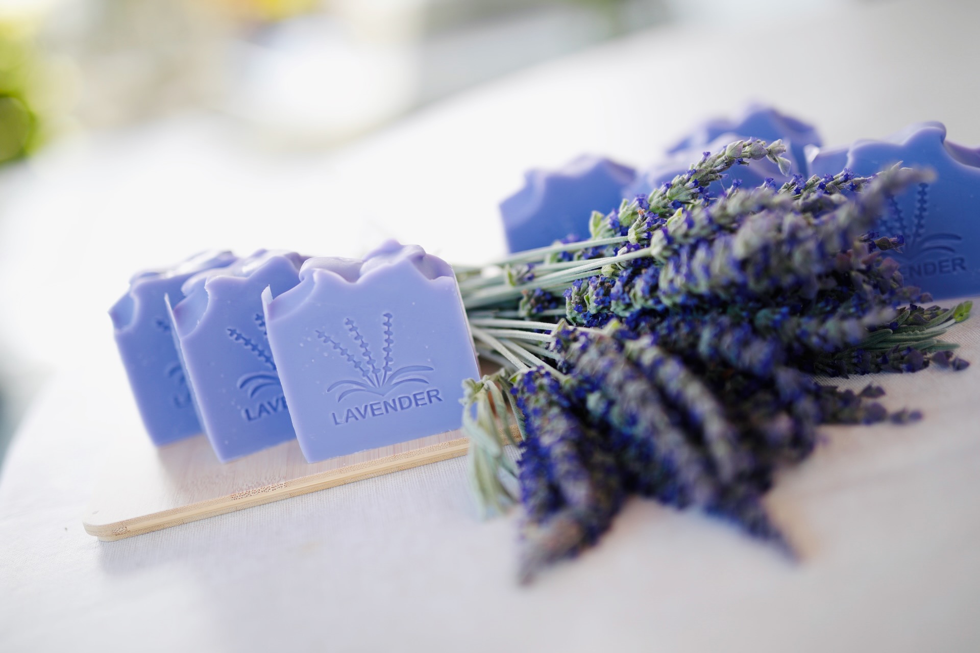 Lavendel