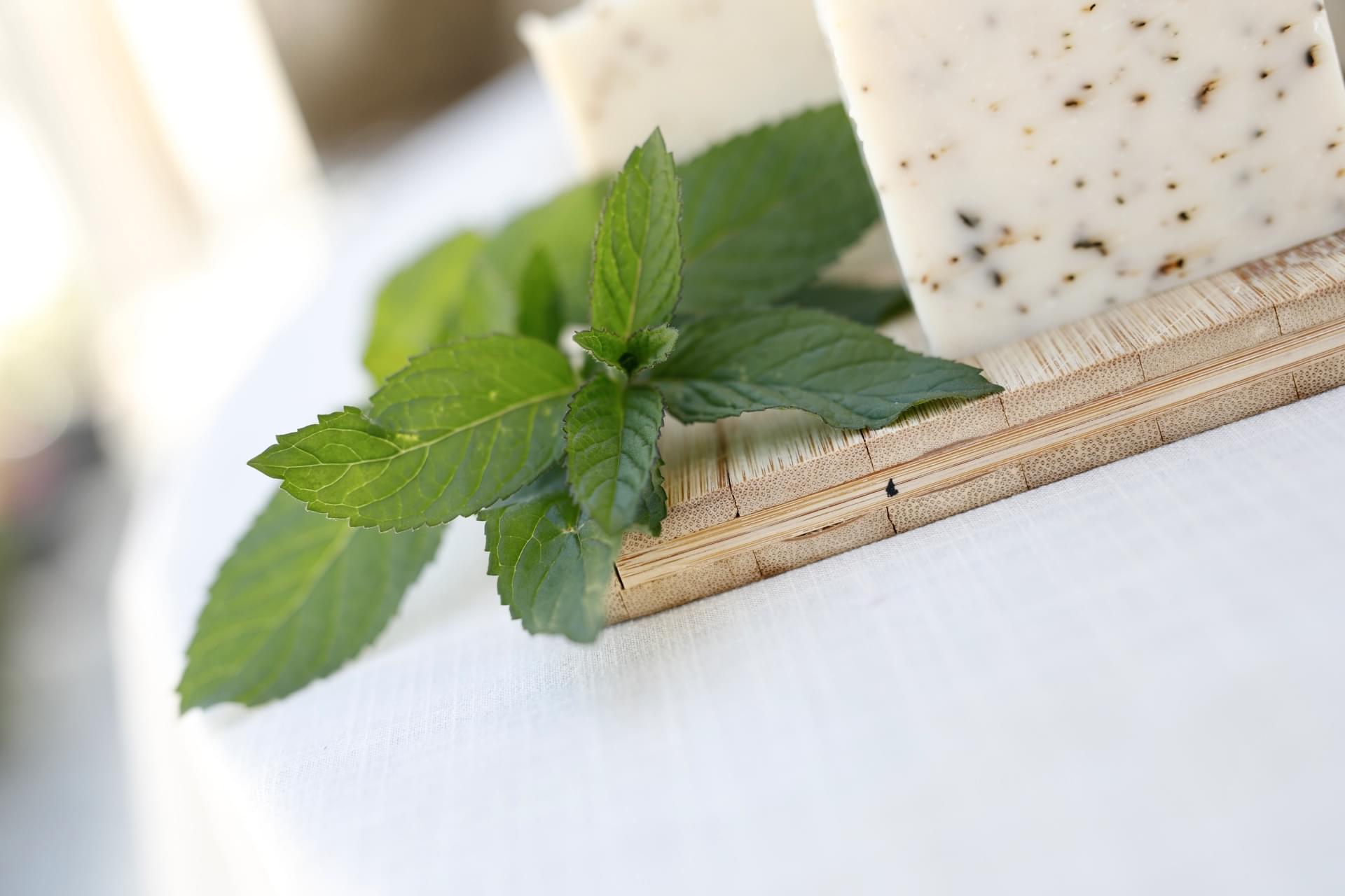 Minty Fresh - Image 4